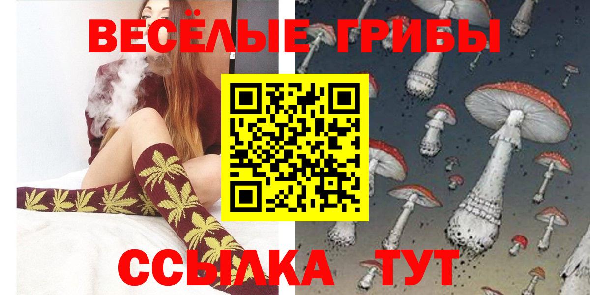 Кострома  Псилоцибиновые грибы Cubensis  Вход с VPN 
