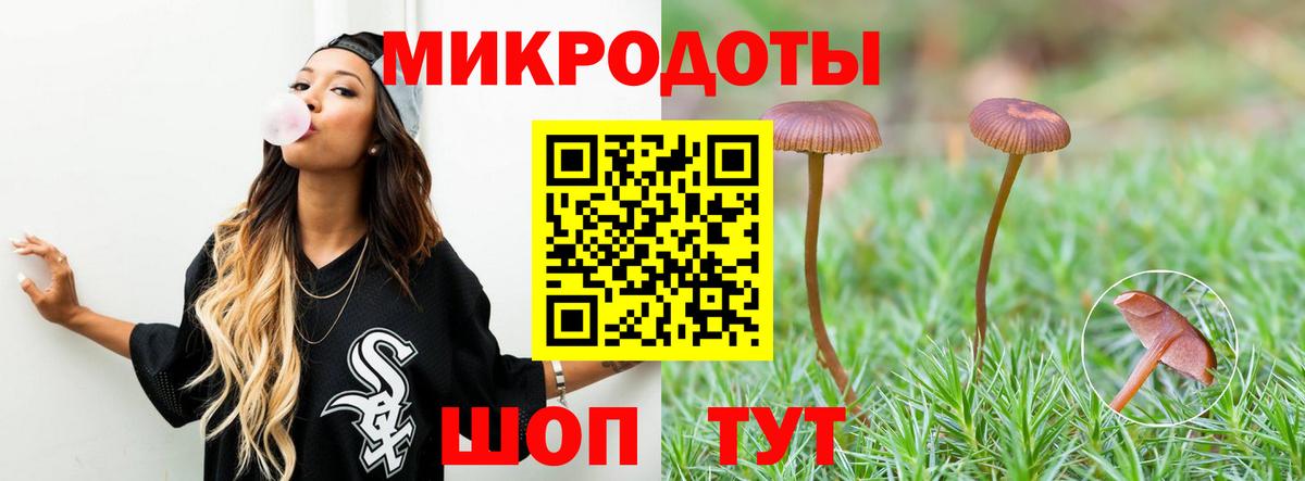 Псилоцибиновые грибы Psilocybe Кострома
